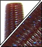 ゲーリーヤマモト カットテール 4inchで釣った魚50匹のデータから見えた真実